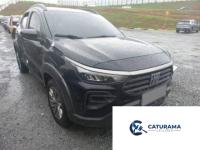 Imagem do lote LI1058-009