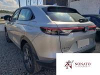 Imagem do lote LI00164-029